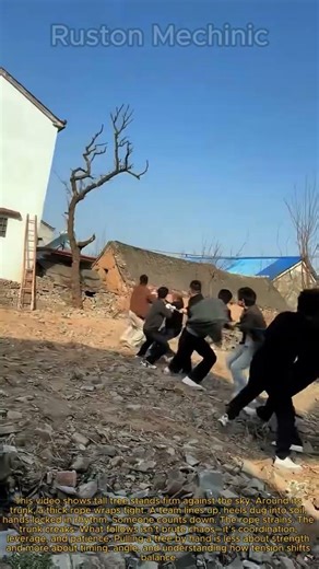 Legendary Teamwork Trying to Pull a Tree by Hand