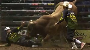 22K views · 768 reactions | Nothing is going to get in the way of these bulls! Except for the US Border Patrol Protection Team. Check out the top saves from September. | PBR | Facebook