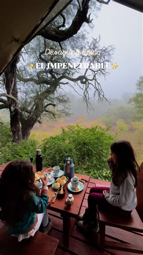 Sofia Collongues - El Mundo es el Límite on Instagram: "✨Gran chaco✨ es el segundo bosque más grande de Sudamérica luego del amazonas . Nos alojamos en un glamping con carpas estilo africanas, un sueño hecho realidad ✨en @glampingelbermejito . Mira la experiencia completa en nuestro canal ❤️. Link en bio 🎥 . El parque resguarda 128 000 hectáreas de bosques de algarrobo, palo santo y quebracho, pastizales, bañados, lagunas y también especies en peligro de extinción, como el tatú carreta,