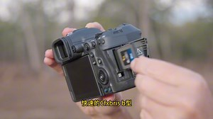 揭秘R5 Mark II：极致体验下的惊人表现，现场深度评测曝光