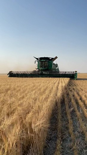 Experience Efficient Harvesting with the John Deere X9