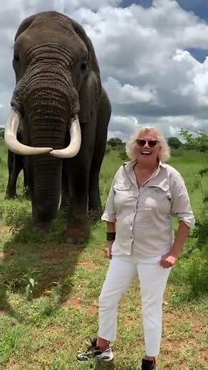 Hilarious Elephant Pulls Prank on #WorldElephantDay!