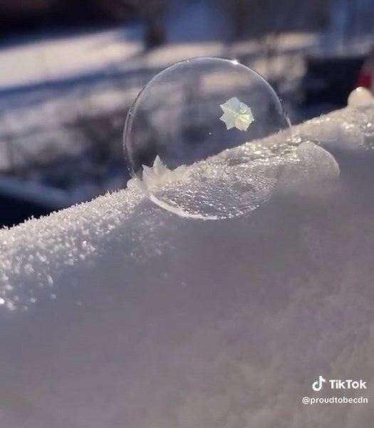 Here's a #cooltrick you can do when it gets real #cold out there #winter #Canada #snow #ice #cool #wow #trythisathome #DIY