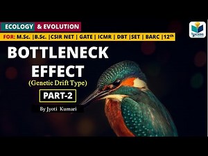 Bottleneck Effect | Genetic Drift (Part-2) | Evolution