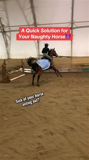 Schleese Ltd. | Saddles for Women on Instagram: "“My horse is so naughty. He tries to get away with everything.” This is unfortunately a very common sentiment in the equestrian community. But when we really consider it, why would that be true? Do horses really wake up and decide it’d be fun to mess with us? No. That’s just not how they’re wired. If you’re having a hard time with your horse, it’s because they’re having a hard time. It’s your duty as a horse person to investigate with compassion t