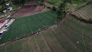 Por medio de U.S. Department of Agriculture y el proyecto #PROCAMPO, desde 2016 hemos impulsado la agricultura rural en Guatemala, con USD$41.5 millones en créditos para productores agrícolas y capacitaciones técnicas para 35,000 agricultores del altiplano. Trabajando junto a Ministerio de Agricultura, Ganadería y Alimentación - MAGA y socios locales generamos oportunidades que reducen la #MigraciónIrregular | US Embassy Guatemala