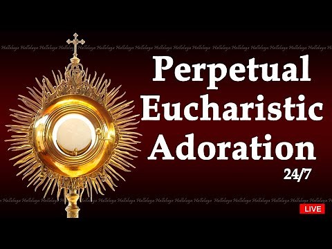 Perpetual Adoration Live | Eucharistic Adoration (24/7)