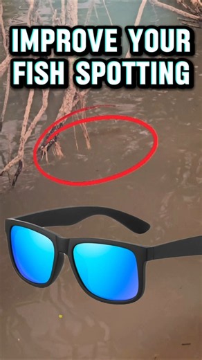 ​Why Anglers ALWAYS Wear Polarized Glasses 🎣
