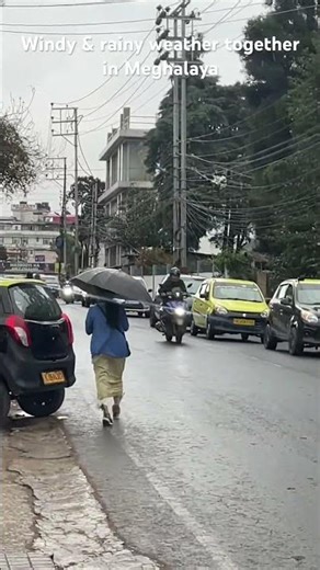 Rainy and windy weather at one time in shillong Meghalaya #youtubeshorts #weather #shillong