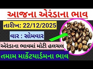આજના એરંડાના ભાવ - Date.22/12/2025.(સોમવાર) Aeranda na bhav 2025. Information about Arenda's price