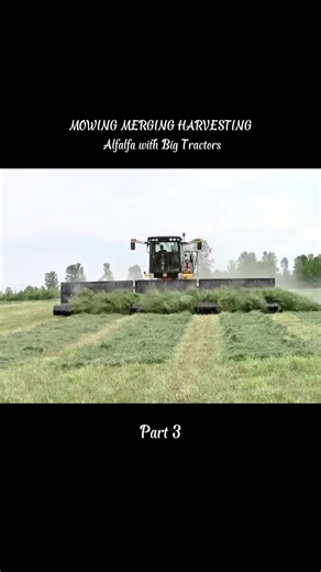 #johndeere8rx #2800acrecornfield #garnettfarms #fs19 #farmingsimulator