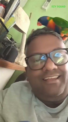 Playing With My 3 Rainbow Lorikeets – Cute Pet Birds | Daily Bonding & Fun Moments#shortsfeed#shorts