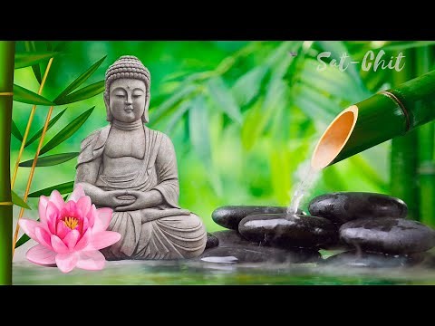 MÚSICA ZEN RELAJANTE: Agua, Flauta de Bambú y Sonidos de la Naturaleza ॐ Sanar Cuerpo, Mente y Alma