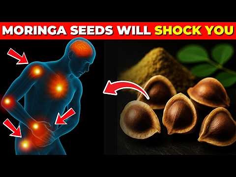 10 Moringa Seed Benefits You'll Never Hear from Your Doctor (But You Should Know)