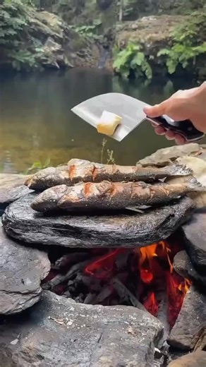 Grilled Fresh Salmon on Hot Rocks in Nature