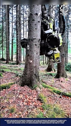Smart Tree Harvesting Machine Innovation for Efficient Forestry and Sustainable Timber Harvesting