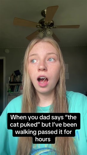 Bizarre Moments with Cats: When Pets Cause Confusion