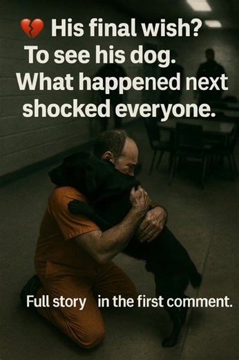 1.7K views · 21 reactions | He requested neither food nor a call. Only his dog. Everyone was taken aback by the reconnection. The first remark has the entire tale  | Crafty Critters | Facebook