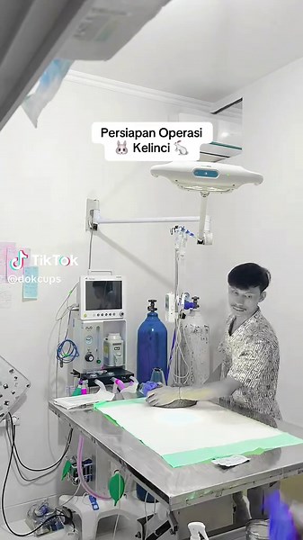 Surgical Prep for Routine Rabbit Procedure