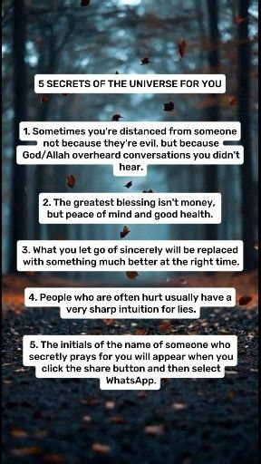 5 secrets of the universe for you...🍂 | yulestari
