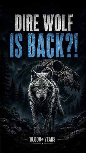 Scientists Brought Back the Dire Wolf… Sort Of 🐺 #shorts #wolf #viral #trending #shortsfeed #facts