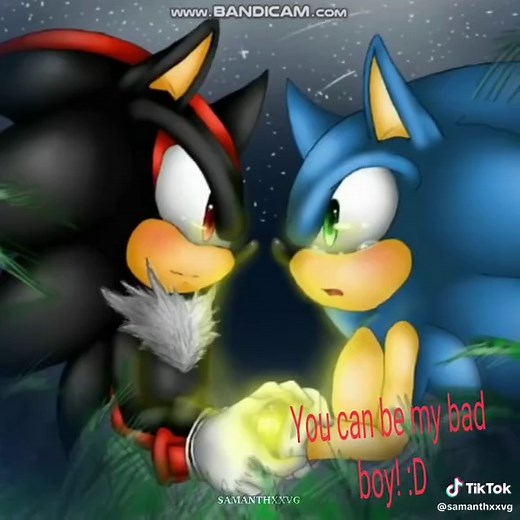 Exploring Sonadow: Sonic and Shadow Edits