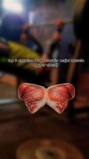 3 top exercises for chest #trending #reels #explore #fitness #gym #motivation #gymworkout #gymlife