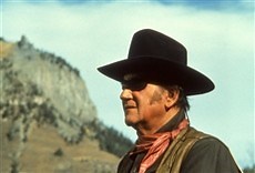 Temple de acero - Movie City Online