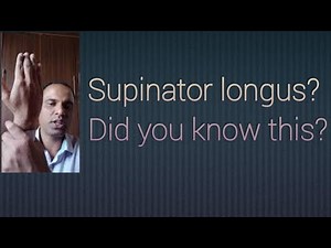 Supination and Pronation | Differences |Joint | How to confirm |Muscles causing supination Pronation