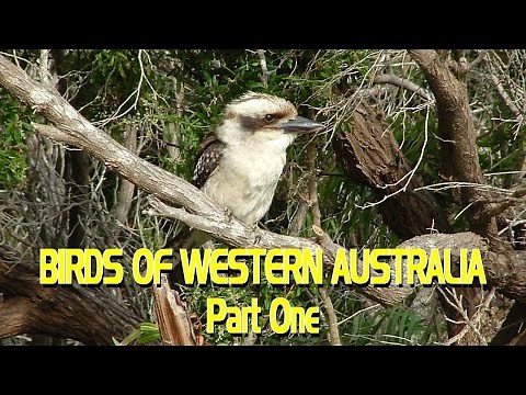 Birds of Western Australia - Part One