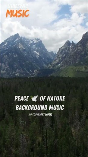 Forest Nature ASMR 🌿| Peaceful Relaxing Sound |No Copyright #nocopyrightmusic #backgroundmusic#free