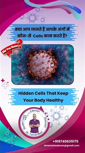 Hidden Cells In Our Human Body | Human Body Hidden Cells | Hidden Cells In Human Body | Explained