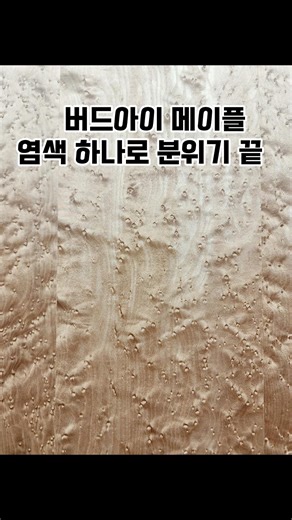 버드아이 메이플, 염색 하나로 분위기 끝 #명성우드 #인테리어