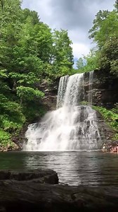 121K views · 4K reactions | This scene is why Cascade Falls is one of the most popular hikes for people who visit Virginia's Blue Ridge! | Visit Virginia's Blue Ridge | Facebook