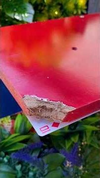 Como restaurar quina de madeira do jeito profissional #Madeira #Marcenaria #Reparo #Dica #Truque