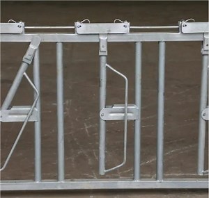 [Hot Item] Cattle Neck Lock System/Cattle Neck Restraint