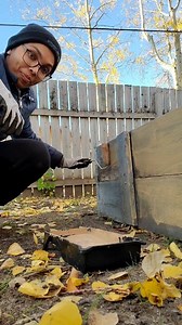 පහුගිය දවසක ෆාම් එකෙන් විසික් කරන්න ගිය ගාඩ්න් බොක්ස් දෙකක් මම ගෙදර අරන් ආවා.ඒකට හේතුව තමා ඒ දෙක හදලා අවුරුද්දක් වගේ කාලයක් විතරයි අපි ෆාම් එකෙ පාවිචිචි කරපු එක සහ එහෙම එකක් සල්ලි දිලා හදා ගන්නවානම් $100 - 120 ක් වගේ වියදමක් යනවා.ඉතින් තව කාලයක් පාවිචිචි කරන්න පුළුවන් එකේ මම ඒක ෆාම් එකෙ වැඩ කරන කෙනෙක්ගෙ ට්‍රක් එහෙක දාගෙන ගෙදර ගෙනවා. ලබන අවුරුද්දේ ඒකෙ මොනා හරි හිටවන්න කියලා ප්ලෑන් කරගෙනම මම ඒ ගාඩ්න් බොක්ස් දෙක එකතු කරල එක බොක්ස් එකක් විදිහට හදාගෙන වැඩිකාලයක් පාවිච්චි කරන්න පුළුවන් වෙන්න පේන්ට් පා