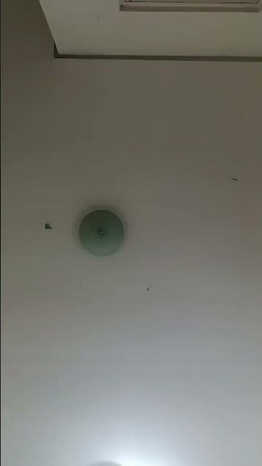 Amtrak NextGen Train Run Over Camera