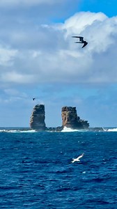 Llegamos al ARCO DE DARWIN 📍, donde llegan los Tiburones Más Grandes del Mundo 🌎 🦈 | #galapagos #darwin #darwinarch #whaleshark #tiburones #tiburonballena #megalodon #buceo #oceano #jaws | Alpha Expeditions