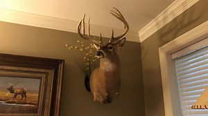 1.3K views · 31 reactions | Position your mounts perfectly with a Full Range Hanging System. #FullRangeHangingSystems | Full Range Hanging Systems | Facebook