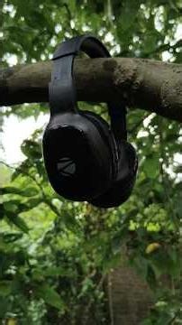 Best Headphones Under ₹799? 😳 Zeb Thunder Pro #shorts