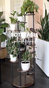 This rotatable plant stand is back in stock!!! Rotatable Plant Stand Comment SHOP below to receive a DM with the link to shop this post on my LTK ⬇ https://liketk.it/51R04 #ltkhome #ltkstyletip #plantstand #plantparent #plants | PlantedBy.Ycee