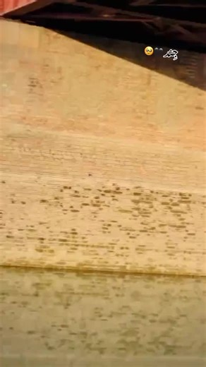 #fyp #foryou #tiktok #pakistani_tik_tok #viral_video