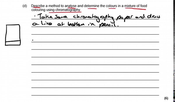 Drkyleexplains on TikTok