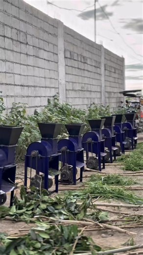 11 Barangay sa Maguindanao, Mas Level-Up na ang Waste-to-Resource Program! ✨ 11 barangay sa Maguindanao ang sabay-sabay nang makakatanggap ng kanilang Multi-Purpose Shredder—tunay na game-changer para sa komunidad! Isipin mo… lahat ng tuyong dahon, sanga, at farm waste—pwede nang i-shred at gawing gamit muli. Mas malinis ang paligid, mas maayos ang operasyon, mas madali ang farm management. At ang output? ✔ Panggawa ng compost ✔ Panggawa ng organic fertilizer ✔ Pang-pababa ng volume ng basura ✔ 