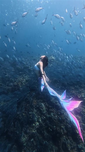 In the ocean, I am light, strong, and calm. 💙 Life feels the same when I trust my own rhythm. 🌊 🏠 @Divescape Hub 🎥 Coach @chikik0y Mermaid tail from @salvusmermaid @DJI PH Raw Video 💖 @mermaidsofthephilippines