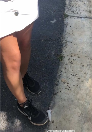 She found a mouse! And WHAT do you think she did next? YEP! 👟🐭 #spottedlanternfly #spottedlanternflies #crushingasmr #stomp #feet
