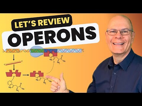 Operons for AP Bio. Your Complete Guide