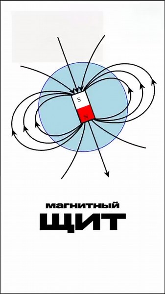 Earth's Magnetic Shield