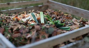 10 conseils pour faire un très bon compost